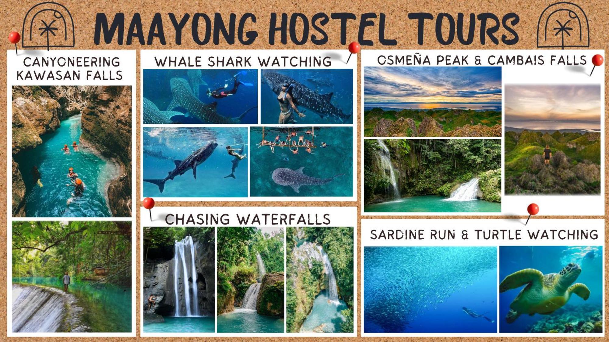 Maayong Hostel (Adults Only) Moalboal Bagian luar foto
